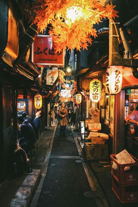 An Alleyway in Tokyo Alley Way, Monte Fuji, Tokyo Night, Japan Photography, Japan Street, Japon Illustration, Japan Aesthetic, Aesthetic Japan, Japanese Architecture