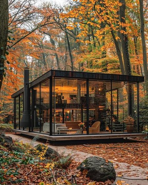 Glass Cabin In Woods, Forest Wood House, Winter Glass House, Houses In Forests Woods, Glass Cottage House, Glass House Mountains, Woods House Forest, Glass Houses Architecture, Glass House In Forest