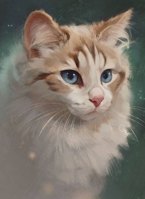 White Cat, A Cat, Pet, Blue, White, Art