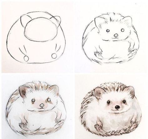 Animal Drawing Ideas, Trin For Trin Tegning, Maus Illustration, Hedgehog Drawing, 강아지 그림, Animal Drawing, Hedgehog Art, Watercolor Paintings Tutorials, Watercolor Art Lessons