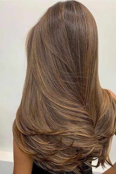 Healthy Hair Tips, Black Hairstyles, Kadeřnické Trendy, Brown Hair Inspo, Brunette Hair With Highlights, Vlasové Trendy, Brown Hair Balayage, Brown Blonde Hair, Hair Inspiration Color