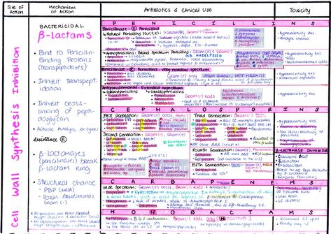 Antibiotics Chart, Antibiotics Pharmacology, Nursing Planner, Pharmacology Mnemonics, Charting For Nurses, Med School Study, Medical Terminology Study, Np School, Mcat Study