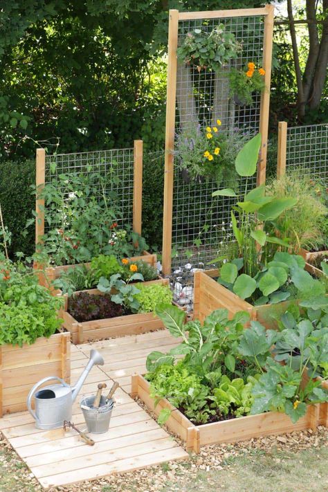 30 Amazing Ideas For Growing A Vegetable Garden In Your Backyard Diy Garden Bed, Small Vegetable Gardens, Plants Growing, Backyard Vegetable Gardens, Garden Area, Garden Types, Veg Garden, Secret Gardens, Have Inspiration