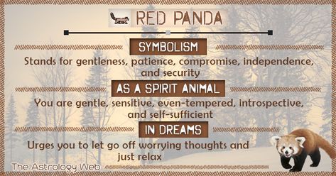 What Does a Red panda Symbolize Red panda is the symbol of gentleness, compromise, and patience. The symbolic meaning also includes balance, independence, security, as well as nonchalance while representing tree wisdom, tree divination and recognizing the individual tree spirit. Red Panda as Your Spirit Animal (Totem Animal) If your spirit animal guide is a … Bear Meaning, Animal Totem Spirit Guides, Bear Spirit Animal, Spirit Animal Meaning, Bear Totem, Animal Meanings, Spirit Animal Totem, Animal Spirit Guides, Animal Medicine