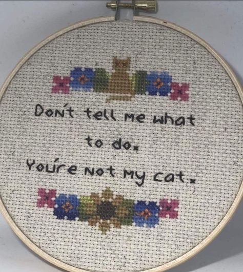 Funny Cross Stitch Patterns Free, Subversive Embroidery, Lol Cats, Subversive Cross Stitches, Image Positive, Funny Embroidery, Funny Cross Stitch, Cross Stitch Quotes, Cat Sanctuary