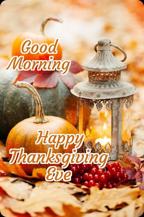 Good Morning Wednesday Thanksgiving Eve, Good Morning Thanksgiving Week, Good Morning Thanksgiving Eve, Happy Thanksgiving Eve Images, Good Morning Thanksgiving, November Greetings, Good Morning Happy Thanksgiving, Wax Wednesday, Happy Thanksgiving Eve