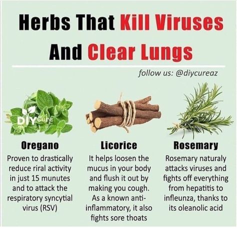 Health Tip Of The Day, Clear Lungs, Tea Remedies, Herbal Medicine Recipes, All Natural Products, Medicinal Herbs Garden, Natural Health Supplements, Natural Healing Remedies, Herbal Healing