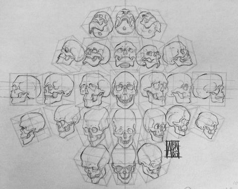 Draw Skeleton, Skeleton Reference, Anatomy Help, Skull Study, Anatomy Notes, Loomis Method, Head Reference, Skull Anatomy, Skull Reference