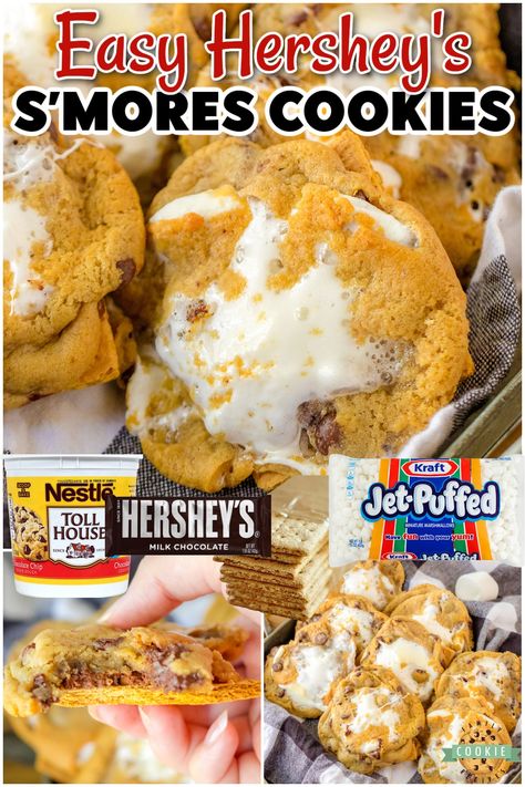 4 INGREDIENT S'MORES CHOCOLATE CHIP COOKIES - Family Cookie Recipes Cake Mix Smores Cookies, S'mores Chocolate Chip Cookies, S'mores Chocolate Chip Cookie, Viral Smores Cookies, Easy S’more Cookies, S’mores Chocolate Chip Cookie, S’mores Chocolate Chip Cookies Easy, Smore Chocolate Chip Cookies Easy, S'more Cookies Recipe