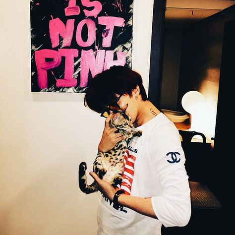 ｜150914 KUSH posted a picture of G-DRAGON with a kitten 🐲🐱” G-dragon Aesthetic, G Dragon Black, Rp Boy, Boys Pfp, G Dragon Instagram, G Dragon Top, Brp Port, Bigbang G Dragon, Vip Bigbang