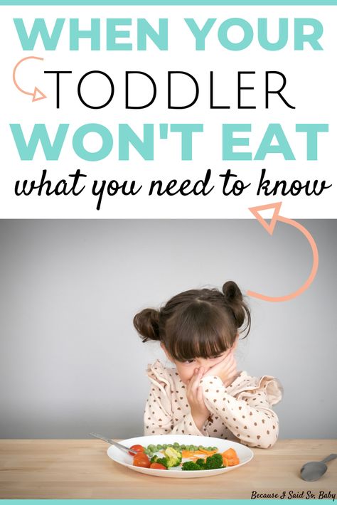 Toddler Wont Eat, Picky Eating Toddler, Newborn Advice, Picky Toddler, Toddler Schedule, Picky Eating, Toddler Discipline, Toddler Snacks, Baby Eating