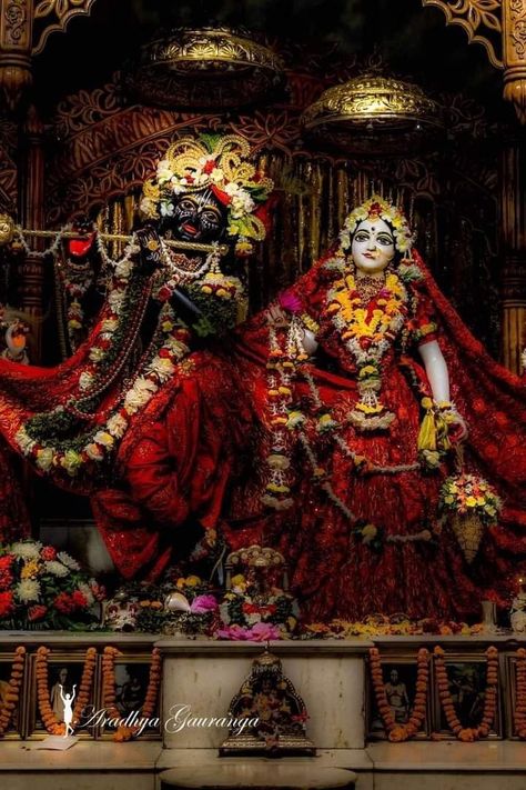 Vrindavan Photography Pictures, Iskcon Krishna, Krishna Avatar, Krishna Temple, Radhe Krishna Wallpapers, Shree Krishna Wallpapers, Hanuman Photos, Peace Illustration, Lord Krishna Hd Wallpaper