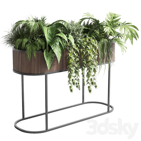 stand plant box - collection Indoor plant 243 wooden vase pot fern grass - Indoor - 3D Models Indoor Planter Decor, Tall Planter Boxes, Indoor Planter Box, Fern Planters, Planter Box Designs, Indoor Ferns, Plants Stand, Indoor Plant Display, Big Planters