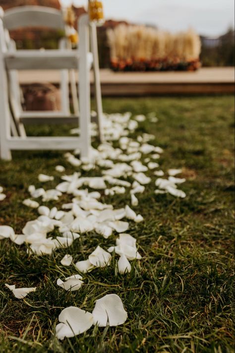 White Petals Down Isle, Rose Petals Along Wedding Aisle, Ceremony Petals Aisle, Single Stem Flower Isle, Isle Petals Wedding, Rose Petals Lining Aisle, Rose Petal Aisle Runner, White Petals Aisle, Petals Down Aisle Wedding