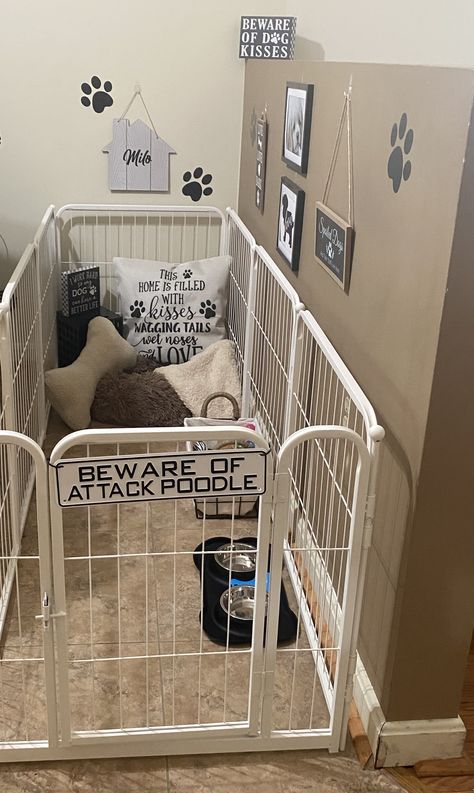 Dog Sleep Area, Dog Setup In Bedroom, Puppy Set Up Ideas, Dog Space, Dog Bedroom, Dog Kennel Designs, Teacup Poodle, Puppy Room, Dog Storage