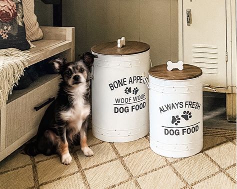 Dog Food Storage Ideas, Large Dog Food Storage, Food Storage Ideas, Green Giant Arborvitae, Giant Arborvitae, Milk Bottle Vases, Rustic Stairs, Dog Food Storage Containers, Pretty Dog