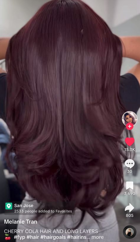 Dark Cherry Burgundy Hair, Dark Aubergine Hair, Cherry Cola Hair Color Balayage, Cola Red Hair, Eggplant Hair Color, Dark Cherry Cola Hair Color, Dark Maroon Hair, Violet Hair Color, Cherry Cola Hair