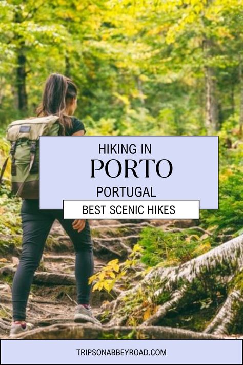 Portugal Hikes, Hiking Portugal, Porto Portugal Travel, Portugal Trip, Vacation 2024, Enjoy Your Trip, Hiking Places, Douro Valley, Nature Tour