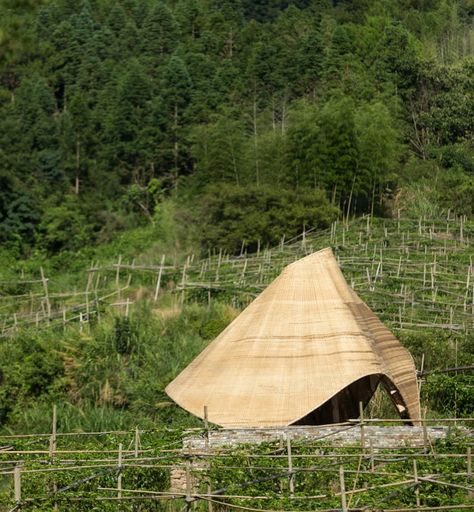 University of Hong Kong students build Sun Room for farmers of China's Peitian village Bamboo Shelter, Bamboo Pavilion, China University, University Of Hong Kong, Green Building Materials, Pool Pavilion, Cahuita, Architectural Scale, Pavilion Architecture