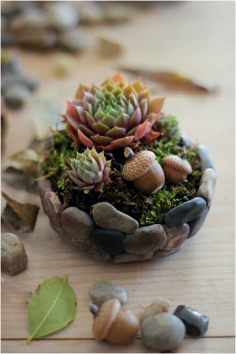 Diy River Rock, Rock Planters, Polymer Clay Fairy, Stone Planters, Clay Fairies, Have Inspiration, Mini Succulents, Diy Garden Projects, Cactus Y Suculentas