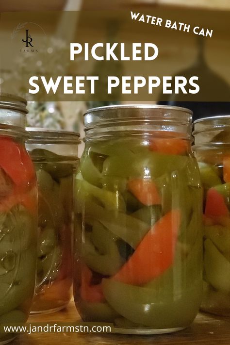 Pickled bell peppers are great on pizza or salads! #canningforbeginners #canningpeppers #bellpepperrecipes Canning Sweet Peppers, Green Bell Pepper Recipes, Canning Bell Peppers, Peppers Pickled, Pickled Sweet Peppers, Pickled Pepper Recipe, Green Pepper Recipes, Sweet Pepper Recipes, Pickled Banana Peppers