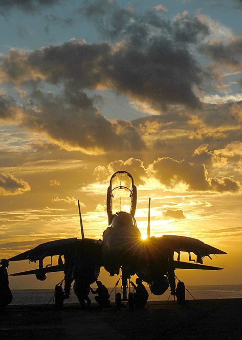 F-14d Super Tomcat, Tomcat F14, Photo Avion, F14 Tomcat, Rc Tank, F-14 Tomcat, Air Fighter, Military Jets, Jet Aircraft