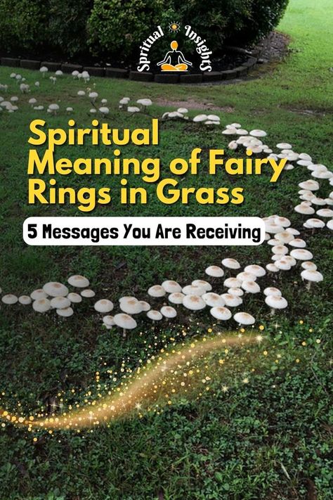 Spiritual Meaning of Fairy Rings in Grass – 5 Messages You Are Receiving Fairies Mythology, Fairy Rings, Small Garden Design Ideas, Spiritual Garden, Rings With Meaning, Party Diy Decorations, Sacred Garden, Witch Spirituality, Fairy Ring