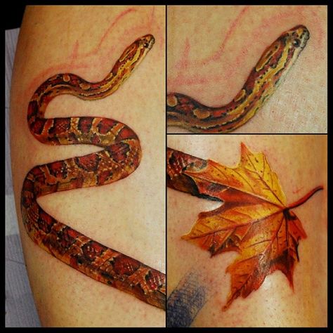 the start of a corn snake tattoo Artist: Justin Buduo Corn Snake Tattoo, Tattoo Artist Quotes, Cross Shoulder Tattoos, Dragon Thigh Tattoo, Tattoo Word Fonts, Thigh Tattoo Men, Tattoo Snake, Borneo Tattoo, Snake Tattoos