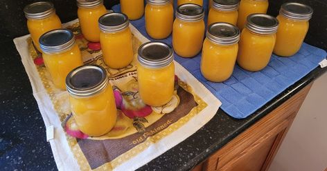 Preserving Sunshine: A Beginner's Guide to Homemade Orange Juice Using the Water Bath Method How To Can Orange Juice, Canned Orange Juice, Orange Juice Concentrate Recipes, Canning Orange Juice, Canning Oranges, Canning Fruit Recipes, Homemade Orange Juice, Orange Juice Recipes, Pressure Canning Recipes