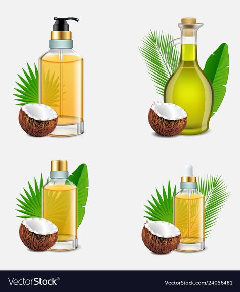 Realistic Illustration, Palm Tree Leaves, Tree Leaves, Oil Bottle, Palm Tree, For Hair, Coconut Oil, Hair Hair, Vector Images