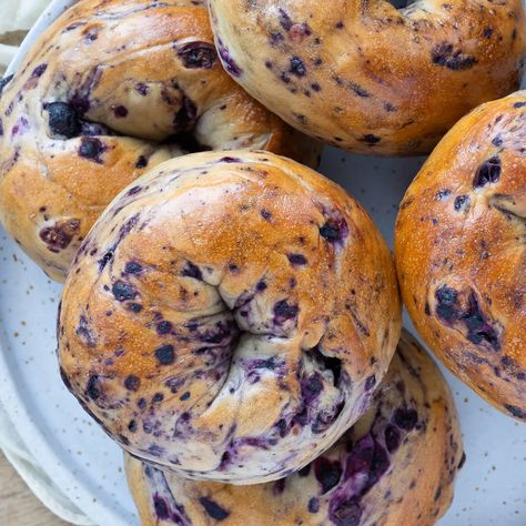 Blueberry Bagels - New York Bagels | Easy & Delicious Bagel Recipe Blueberry, Greek Yogurt Blueberry Bagels, Sourdough Bagels Blueberry, Blueberry Bagel Sandwich, Cranberry Bagels Recipe, New York Bagels Recipe, Blueberry Bagels Recipe Homemade, Best Bagel Recipe Homemade, Homemade Blueberry Bagels