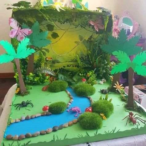 Kids Habitat Project Ideas, Biodiversity Model Ideas, Rainforest Projects For Kids, Rainforest Diorama Ideas, Ecosystem Projects For Kids, Rainforest Diaroma, Jungle Projects For Kids, Habitats Projects For Kids, Rainforest Habitat Projects For Kids