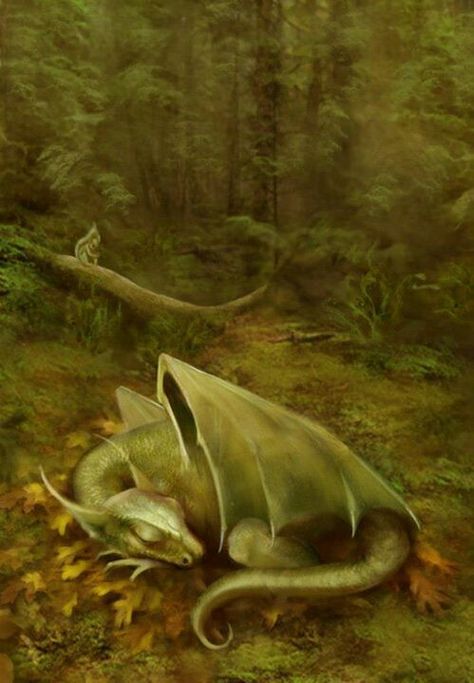 Baby dragon sleeping on forest floor Dragon's Lair, Fairy Dragon, Digital Art Gallery, Beautiful Dragon, Dragon Pictures, Green Dragon, Cute Dragons, Wow Art, Baby Dragon