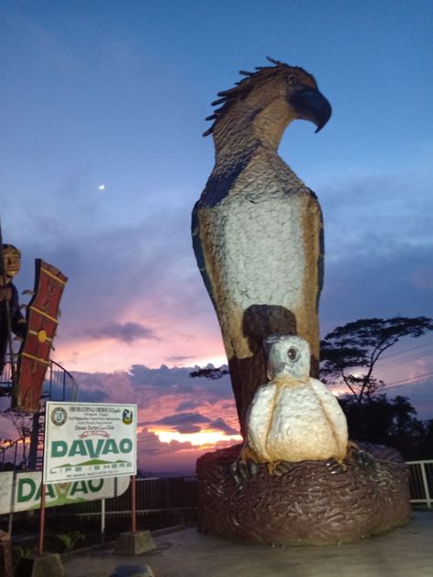 Baganihan, Davao City/09202020 Sm Ecoland Davao, Davao City Philippines, Davao City Photography, Davao City Aesthetic, Davao Del Sur, Party Night Club Aesthetic, Travel Philippines, Night Club Aesthetic, Eagle Statue