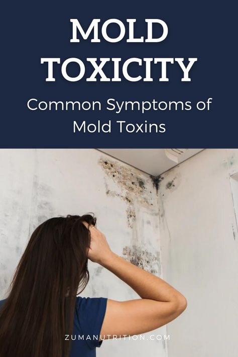 While not all molds are harmful, certain types of mold can release toxins that can have adverse effects on human health. Mold exposure can lead to various symptoms, collectively known as "mold toxin symptoms" or "mold toxicity symptoms." Mold Sickness Symptoms, Mold Toxicity Symptoms, Toxic Mold Symptoms, Black Mold Symptoms, Mold Toxicity, Toxic Mold, Mold Exposure, Types Of Mold, Mold And Mildew