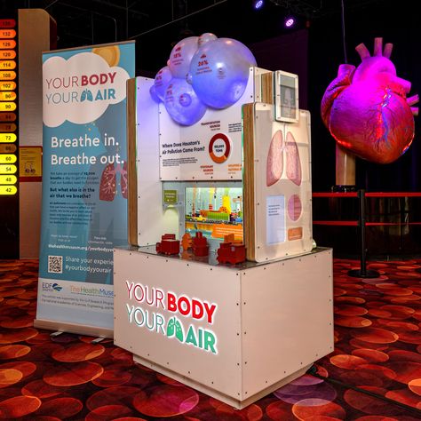 Exhibits - The Health Museum Family Science Night, Museum Interactive, Nonprofit Website, Houston Art, Donate Life, Interactive Exhibition, Arizona State University, Science Museum, Body Systems