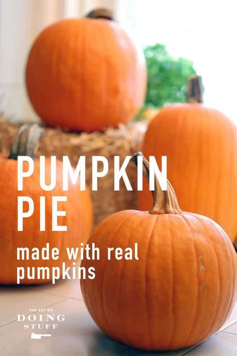 Punkin Pie Recipe, Pumpkin Pie With Fresh Pumpkin, Pumpkin Pie Recipe From Scratch, Fresh Pumpkin Pie Recipe, Fresh Pumpkin Recipes, Frozen Pumpkin Pie, Pumpkin Pie From Scratch, Fresh Pumpkin Pie, Pie From Scratch