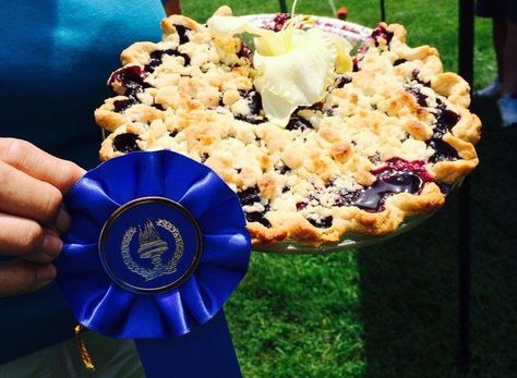 Blueberry Crumb Pie, Award Winning Recipes, Blueberry Festival, Apple Pecan Pie, Crumb Pie, Blue Ribbon Recipes, Winning Recipes, Streusel Coffee Cake, Food Contest