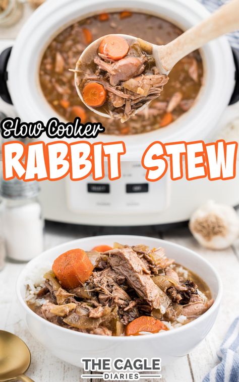 Stuffed Rabbit Recipe, Ground Rabbit Recipes, Rabbit Recipes Crockpot, Rabbit Instant Pot Recipes, Rabbit Recipes Easy Instapot, Rabbit Soup, Crock Pot Rabbit Recipes, Rabbit In Crockpot Easy Recipes, Rabbit Soup Recipe