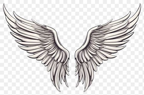 Wings Tattoo Sketch, Sketch Angel, Wing Neck Tattoo, Wing Vector, Simple Bird Tattoo, Alas Tattoo, Forearm Band Tattoos, Back Tattoos For Guys, Wings Art