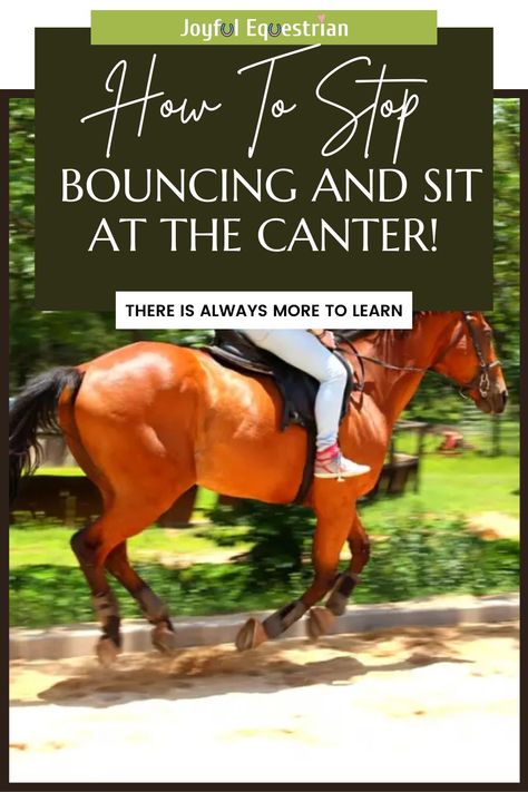 Discover the key to a balanced and bounce-free canter. From understanding horse motion to refining your seat, get all the expert insights in one place. 🐴 #HorseRiding #CanterGuide #EquestrianJourney #RidingExercises #EquestrianTips #CanterTips #HorsebackRiding #JoyfulEquestrian #NoMoreBouncing #CanterImprovement #EquestrianLife #HorseTrainingTips Cantering Horse Tips, Line Lesson, Horse Adventure, Horse Lessons, Horse Exercises, Horse Care Tips, Horse Info, Horse Riding Tips, Horse Training Tips