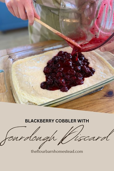 The Best, Easy Blackberry Cobbler with Sourdough Discard - The Flour Barn Homestead Sourdough Discard Recipes Blueberry Scones, Homestead On Boone, Sourdough Discard Recipes Raspberry, Sourdough Cherry Cobbler, Sourdough Blackberry Muffins, Sourdough Berry Cobbler, Blackberry Sourdough Bread, Sourdough Discard Blackberry Cobbler, Sourdough Discard Blueberry Cobbler