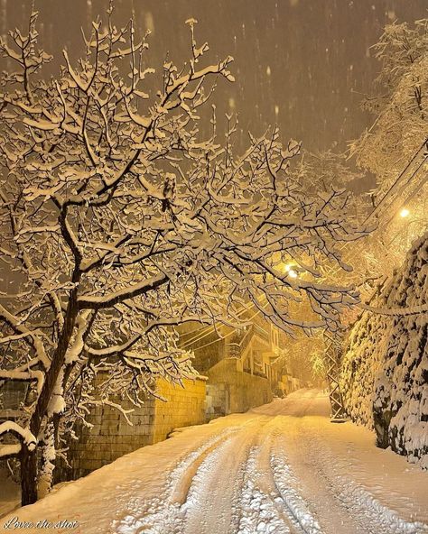 Winter Beauty, Night Photography, Travel Aesthetic, Winter Snow, Lebanon, Amazing Nature, Winter Christmas, Aesthetic Pictures, A R