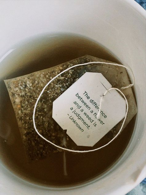 Tea Bags On Eyes Aesthetic, Tea Bags For Eyes Aesthetic, Tea Quotes Aesthetic, Quotes About Tea, Tea Bag Quotes, Teabag Quotes, Tea Bag Aesthetic, Tea Bag Quotes Tags, Strong Motivational Quotes