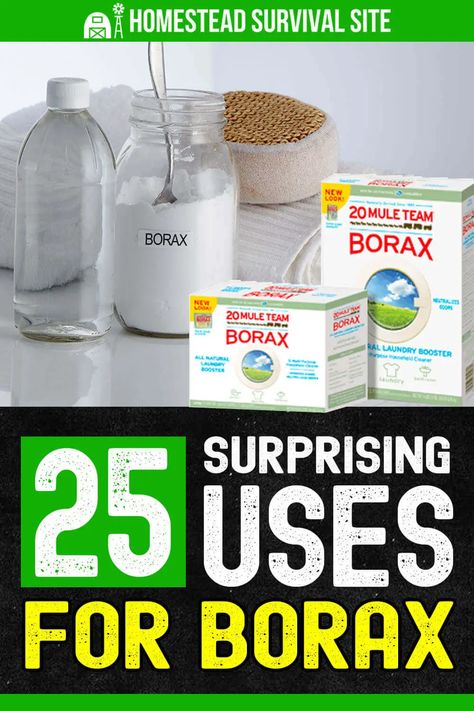 25 Surprising Uses For Borax - Homestead Survival Site Deodorize Mattress, Uses For Borax, Borax Uses, Laundry Booster, Unclog Drain, Wash Clothes, Diy And Home Improvement, Homestead Survival, Cleaners Homemade