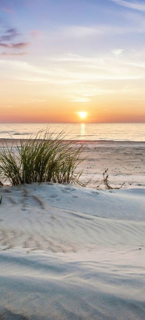 Sugar white sand and a beautiful sunset. I Love The Beach, Jolie Photo, Sand Dunes, Beach Scenes, Ocean Beach, Beautiful Sunset, Sunrise Sunset, Beach Life, Beautiful Beaches