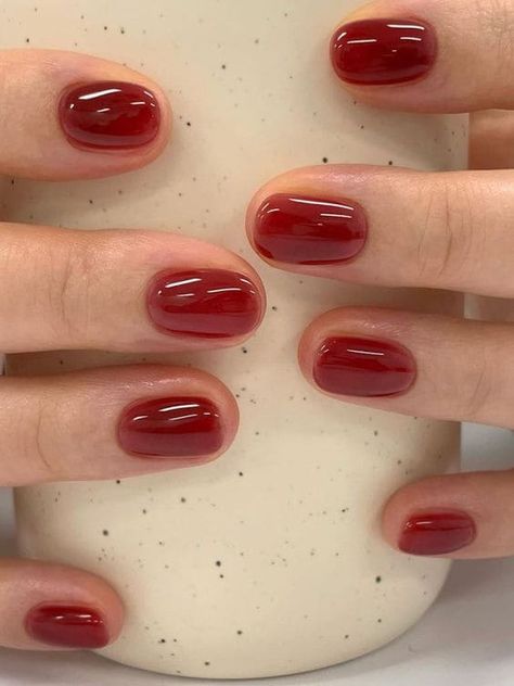 winter nail color: dark red Warm Toned Nails, Soft Short Nails, Red Gel Nails Designs Classy, Nails Design Korean, Short Nails For Winter, Red And Nude Nails, Short Jelly Nails, Korean Nails Short, Korean Gel Nails