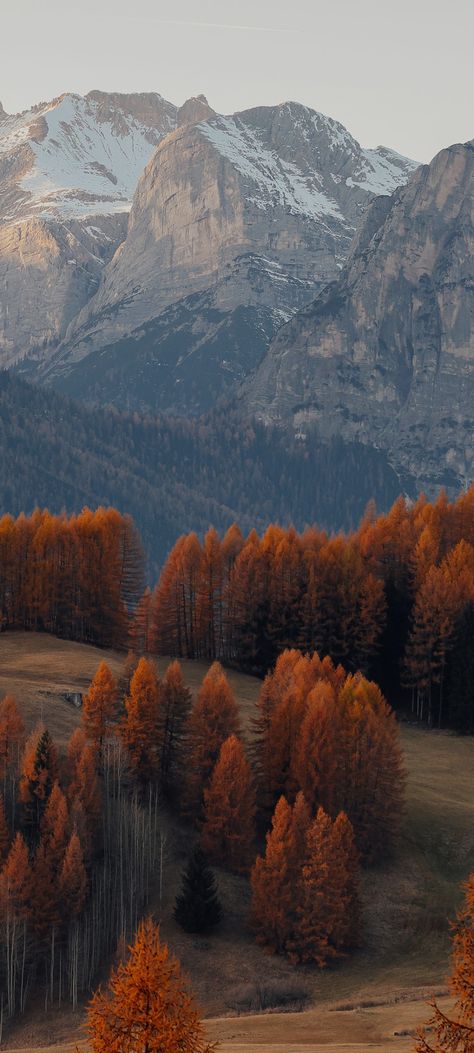 Peaceful Landscapes Photography, Nature Photography Autumn, Autumn Mountains Wallpaper, Autumn Photography Nature Landscapes, Peaceful Places Aesthetic, Forest Phone Background, Fall Mountain Wallpaper, Fall Landscape Wallpaper, Peaceful Wallpaper Aesthetic