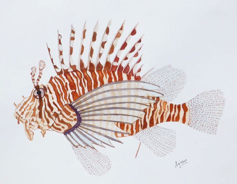 Lion Fish Painting, Lion Fish Drawing, Watercolor Fish, Lion Fish, Fish Drawings, Fish Painting, Fish Art, Watercolor Techniques, Wildlife Art