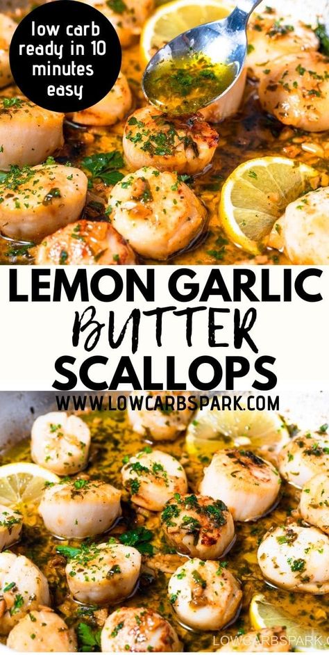 Creamy garlic pan-seared scallops is a delicious, easy 15-minute recipe that everyone goes crazy for. Scallops are seared to perfection, then covered in luscious buttery garlic lemon sauce. This comforting meal is the ultimate culinary treat when it comes to seafood. Scallops are tender and delicate and melt in your mouth Garlic Butter Scallops, Scallop Recipes Healthy, Easy Scallop Recipes, Garlic Lemon Butter Sauce, Sauteed Scallops, Butter Scallops, Seafood Scallops, Lemon Garlic Sauce, Baked Scallops